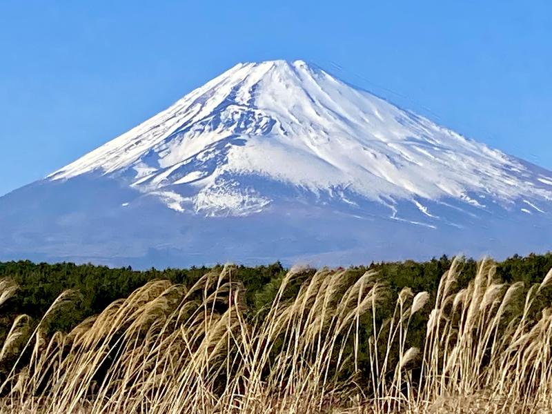 新年のご挨拶