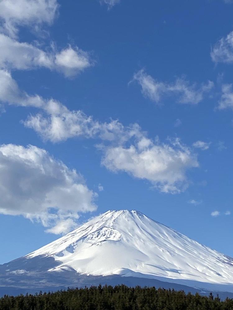 新春のご挨拶